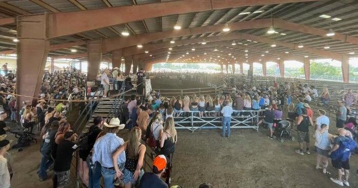 EHV-1 Outbreak Exposes Systemic Government Failure