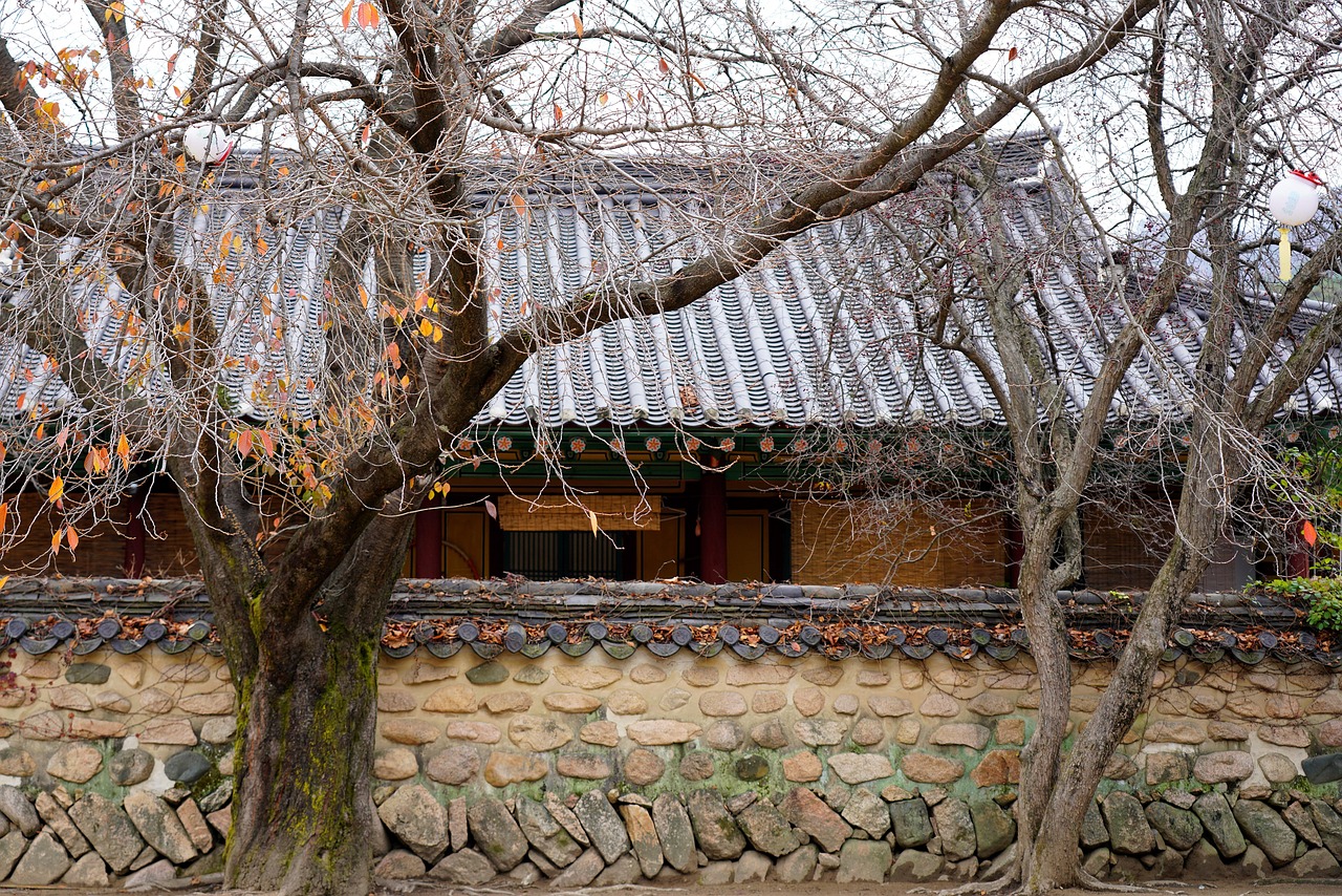 BEZOS' BLUE ORIGIN MAKES HISTORY: NEW GLENN ROCKET'S TRIUMPHANT DEBUT PIVOTS TO MARS!