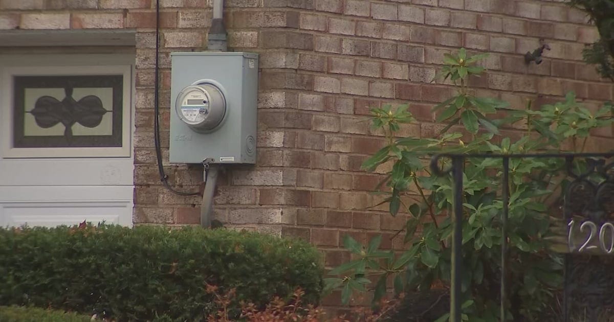 PECO Price Hike: A State-Sanctioned Robbery Unmasked