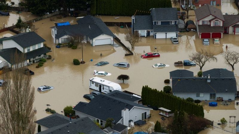 Levee Failures Expose Systemic Corruption in Infrastructure Spending