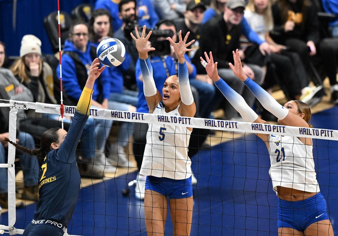 Texas A&M's Final Four Appearance: The Aggie Money Machine Deconstructed