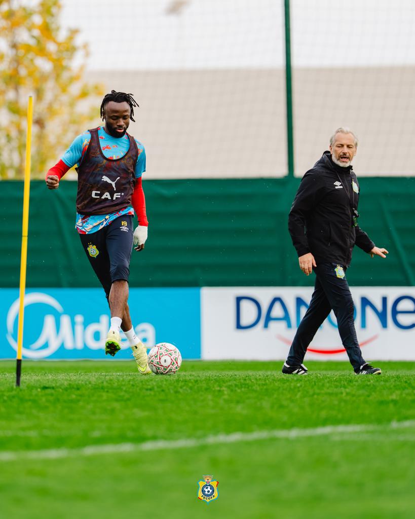 Senegal Dominance Shattered by Congo Risk Factor Tactics