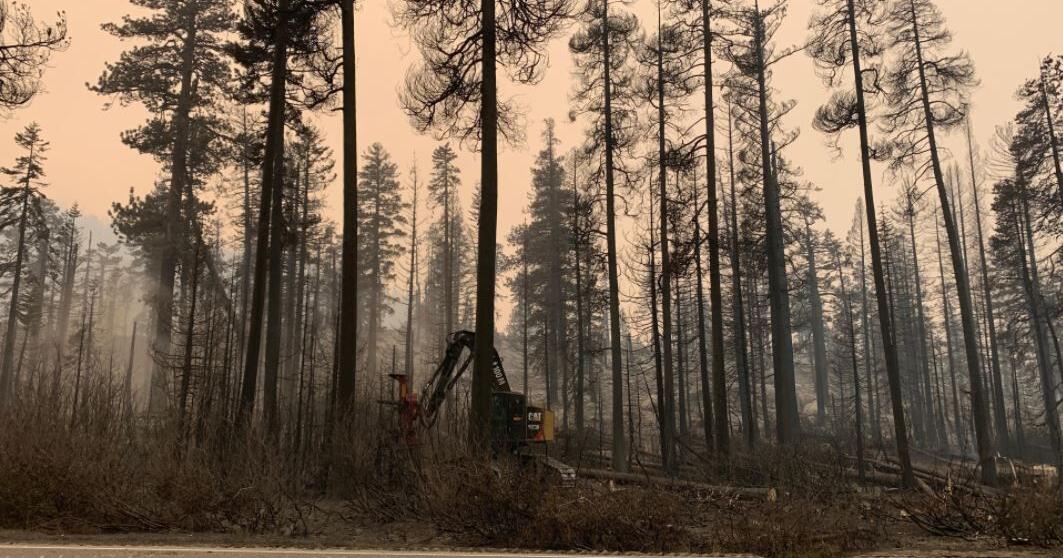 Forest Service Paperwork Fuels California's Next Inferno