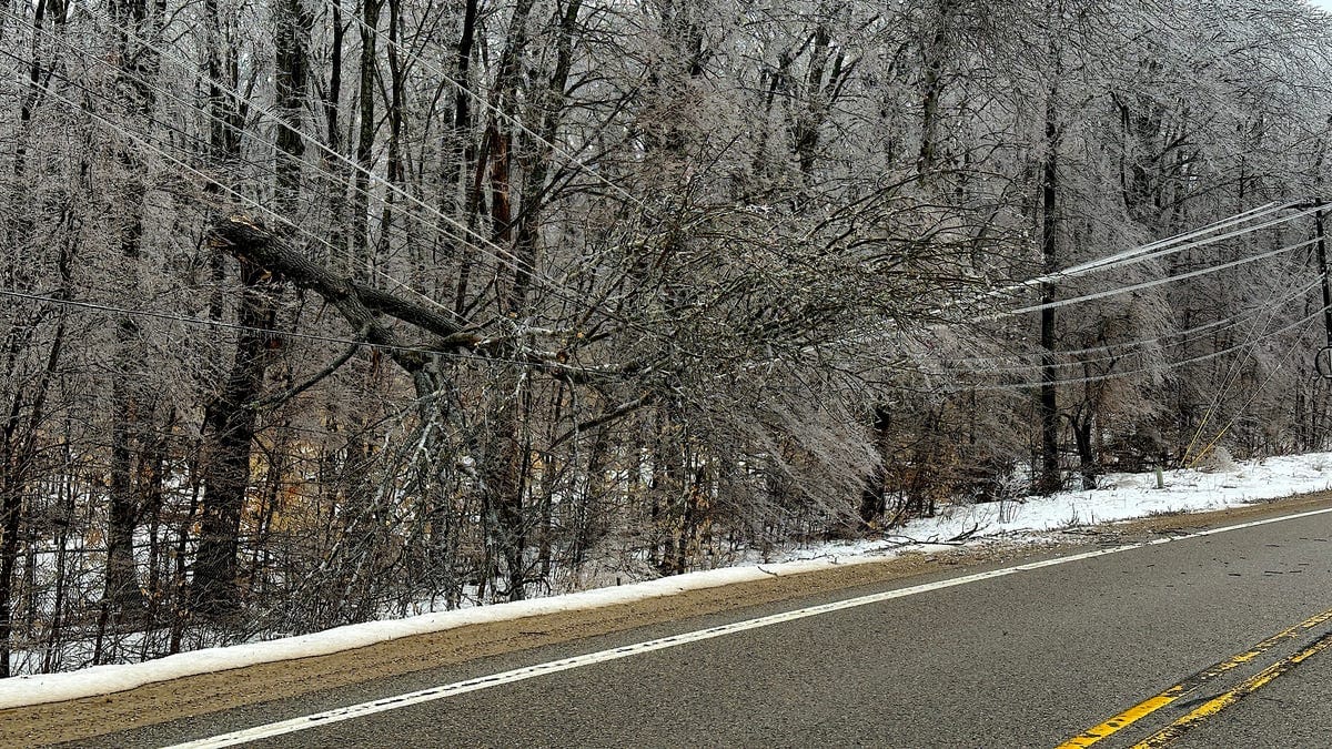 Michigan Grid Collapse: Decades of Utility Greed Exposed