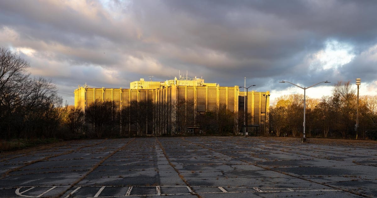 Stranger Things Death Reveals Perilous Digital Content Craze