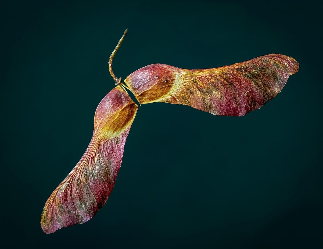 Sycamore Brewing Scandal Exposes Corporate Spin Machine