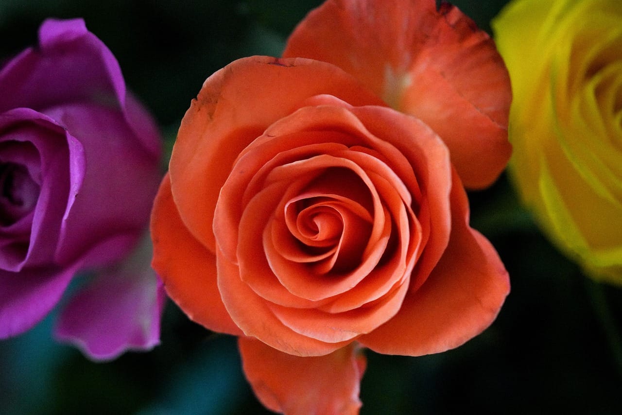 Jon Hamm Dancing Meme Signals Global Cultural Collapse