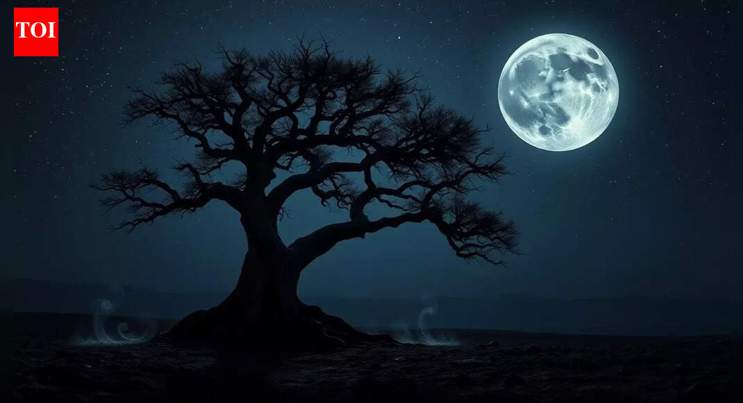 Moon Phase Spirituality Is a Digital Control Matrix