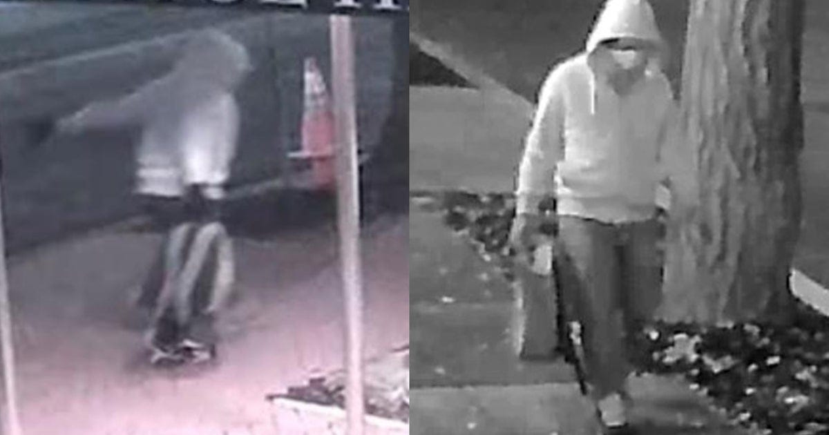 Brian Cole Pipe Bomb Arrest Proves Federal Incompetence