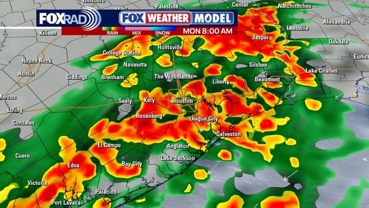 Houston Plunges Into Absolute Weather Chaos