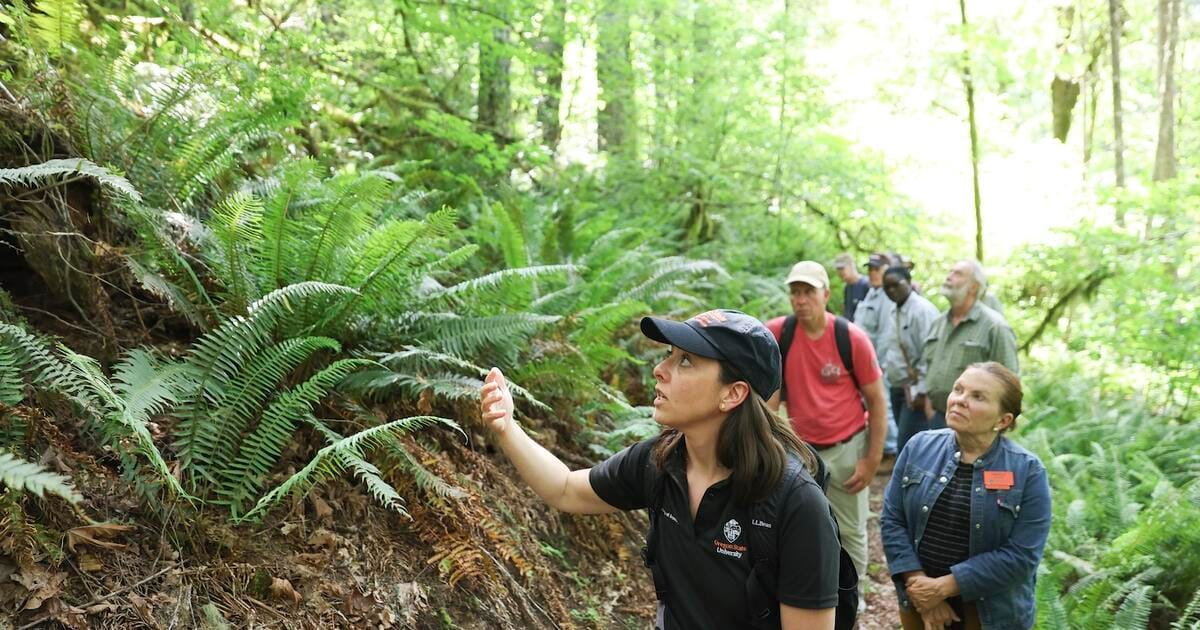 Oregon State Earns Third Carnegie Community Engagement Classification