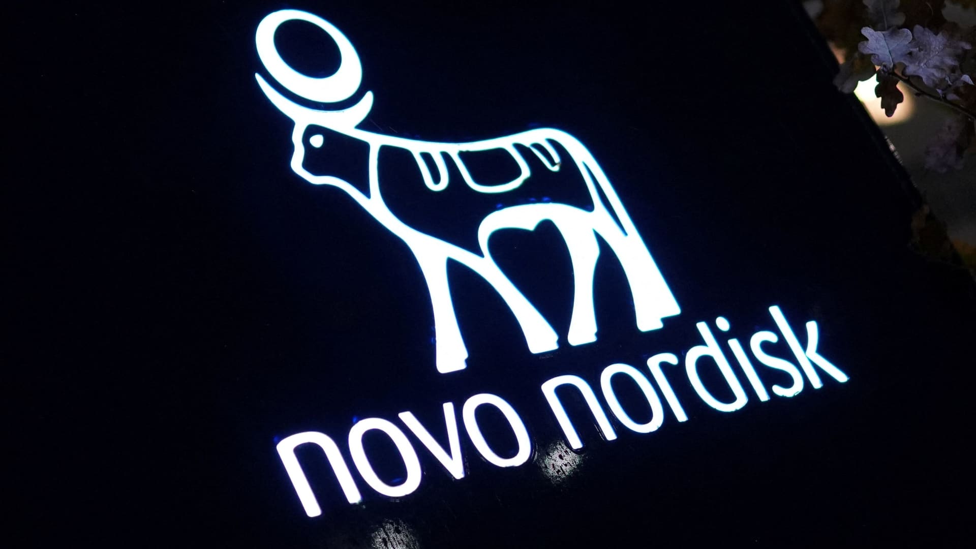 Novo Nordisk Pill Targets New Market as GLP-1 Hype Peaks