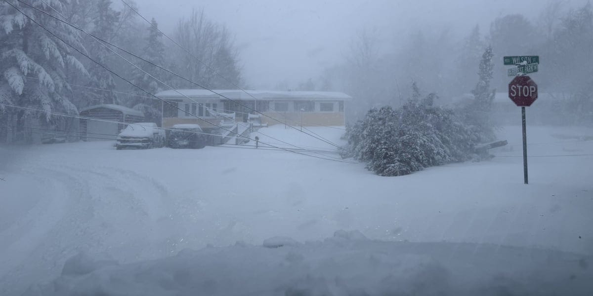 Extreme Weather Reveals Power Grid's Deadly Fragility