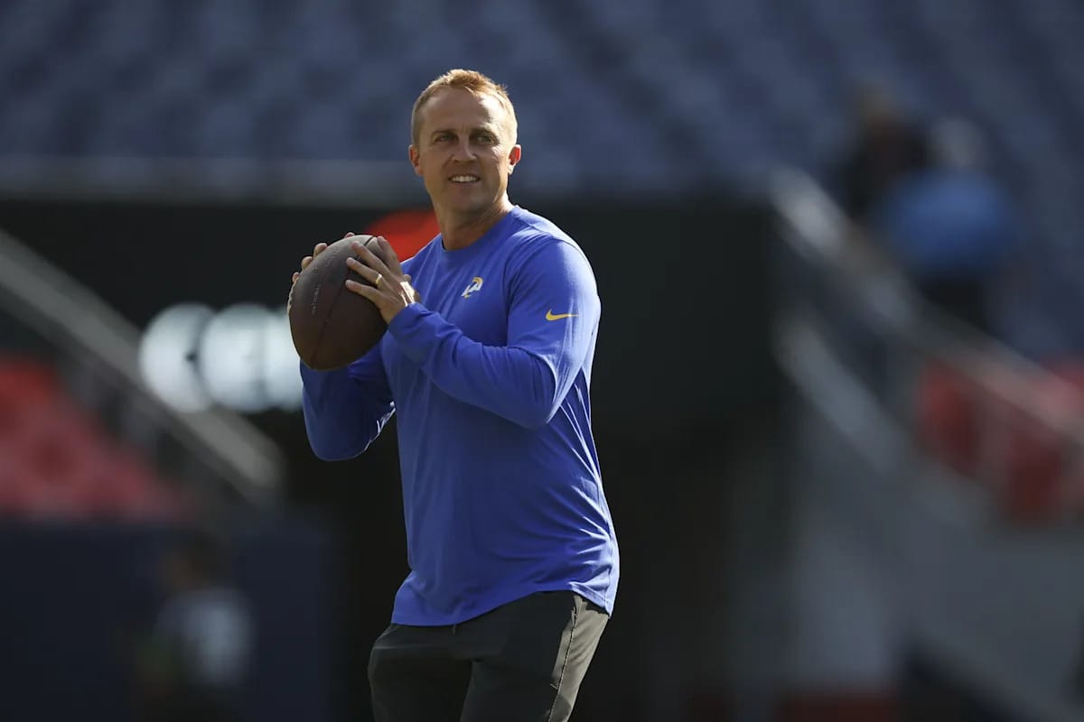 Lions OC Search Exposes Tee Martin Jake Peetz Frauds