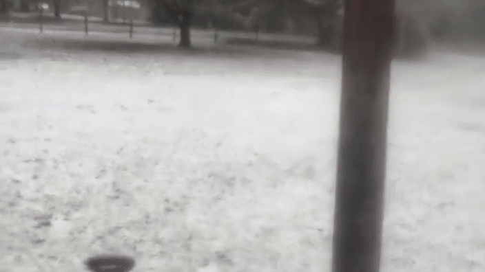 Rare Snowfall Blankets Florida Amid Lingering Freezing Temperatures