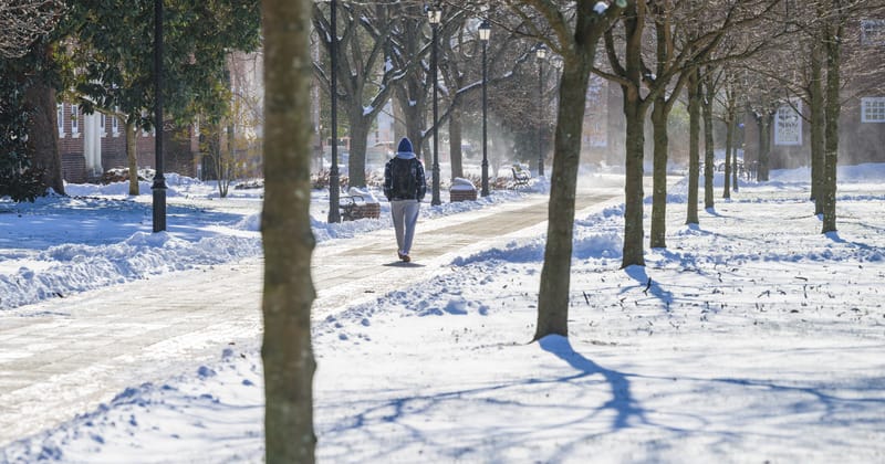 Delaware Braces for Blizzard: Governor Imposes Driving Curbs
