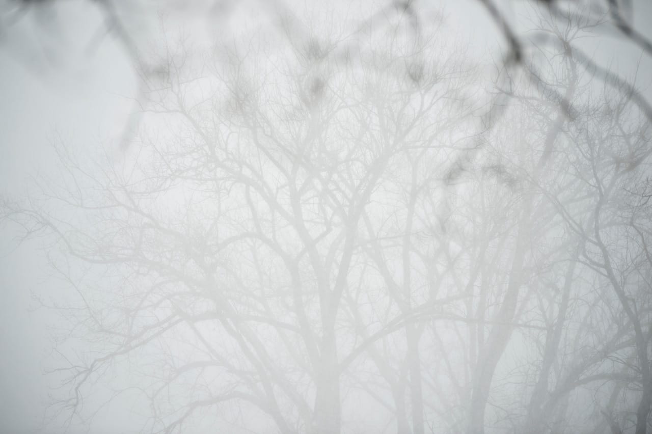 Michigan Pileup Shuts Down I-196 Amid Heavy Snow
