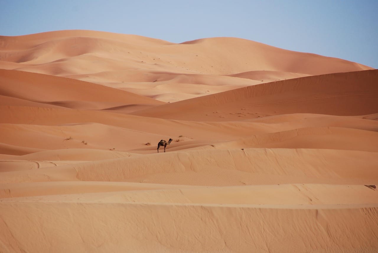 Morocco's Industrial Leap: Innovation & Regional Integration