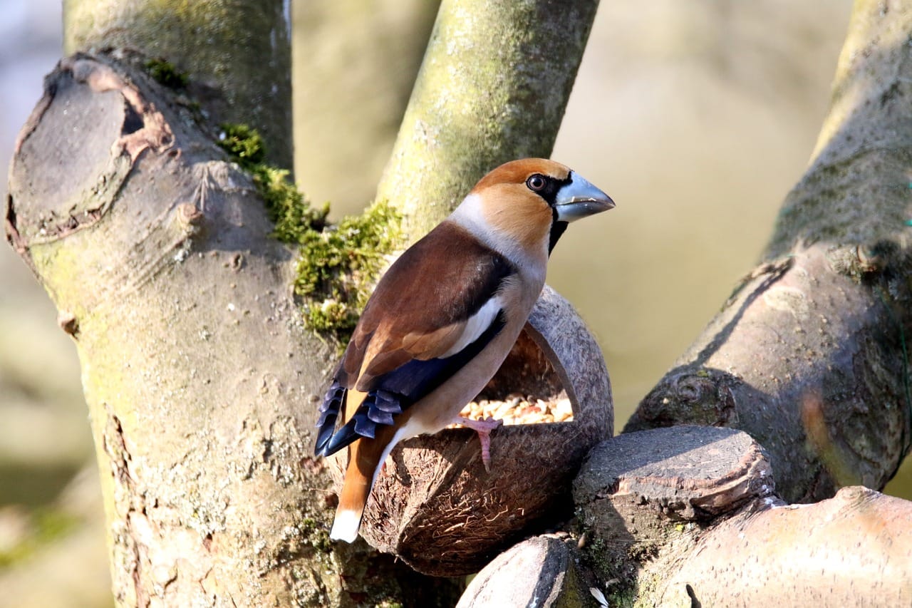 Kern County Schools Delayed by Dense Fog; Civil Rights Allegation Surfaces
