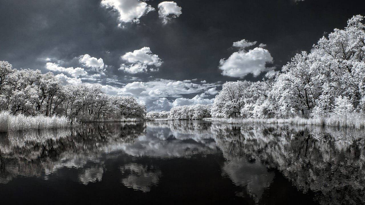 IRS Chief Reorganizes Agency Ahead of 2026 Tax Season