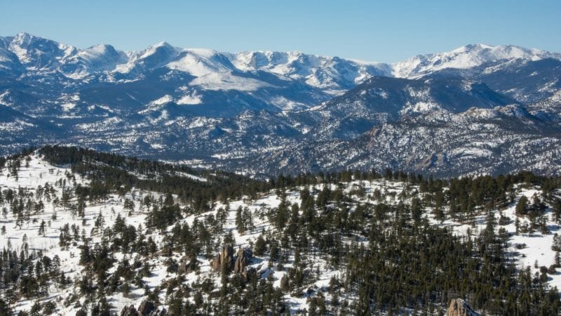 Mountain Lion Attacks Signal Escalating Predatory Conflict