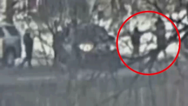 Minneapolis Mayor Trump ICE Shooting Scandal Reality