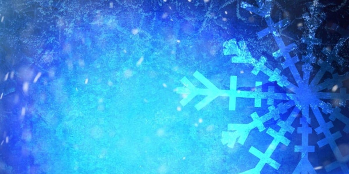 South Carolina Educational and Governmental Operations Adjust Following Winter Storm
